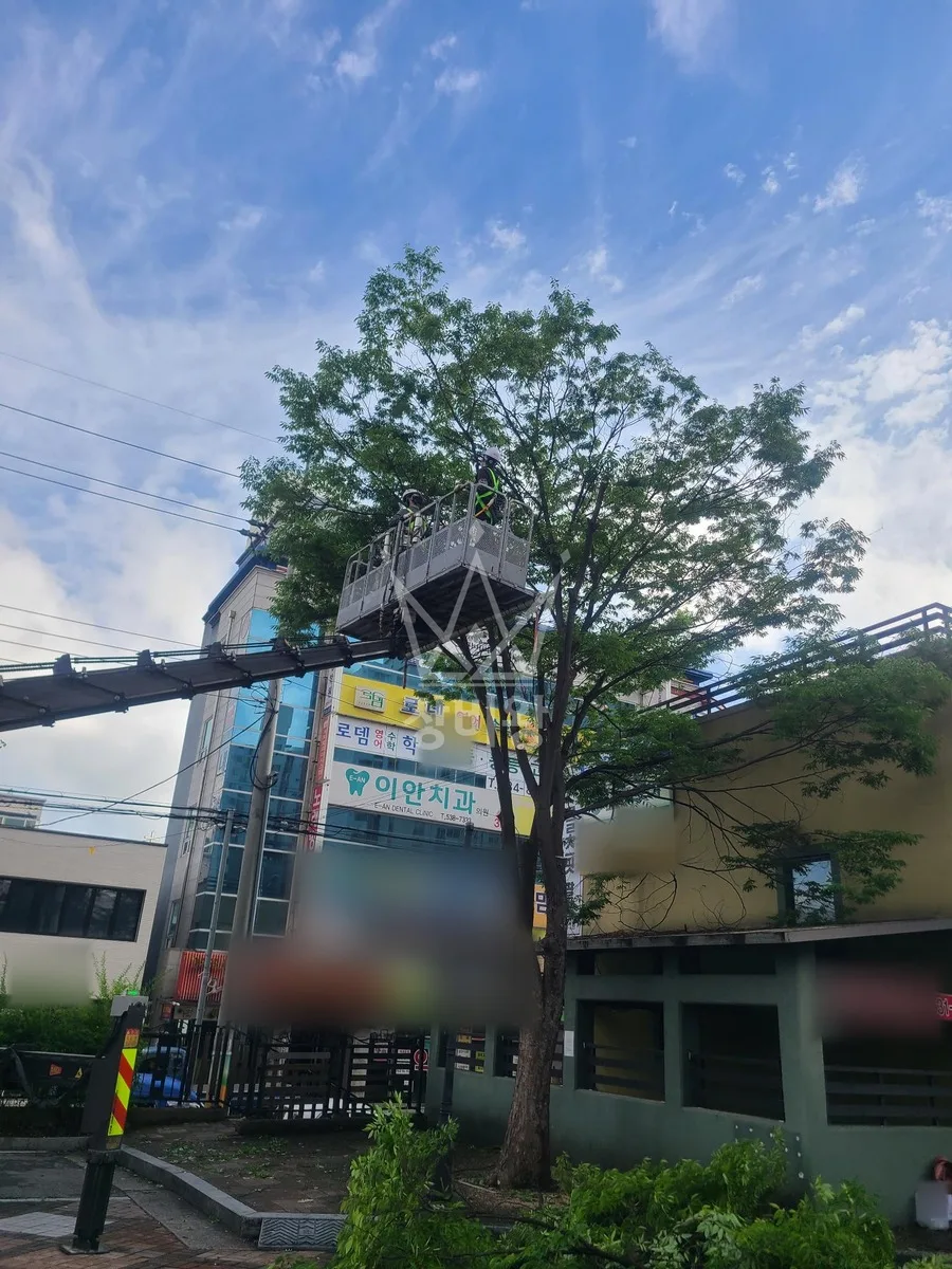 대전 중구 스카이차 외벽 작업 작업 현장