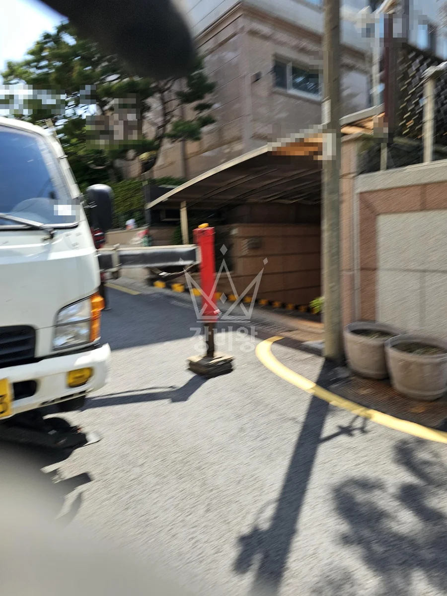 서울 서초구 스카이차 수목 관리 작업 현장