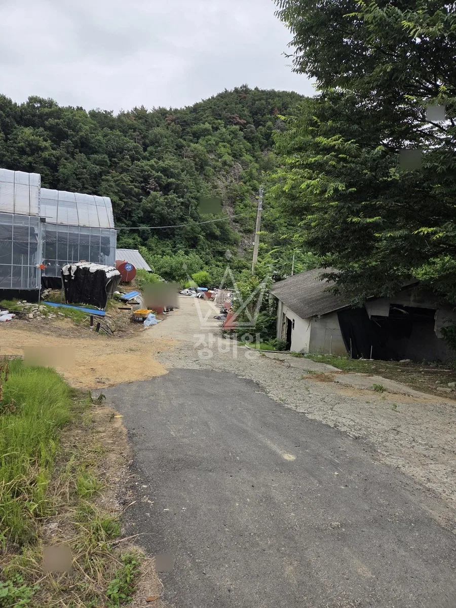 경북 고령군 스카이차 조경 작업 현장
