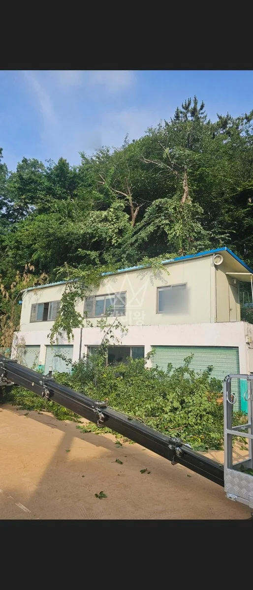 경남 산청군 산청읍 산청리 스카이차 수목 관리 작업 현장