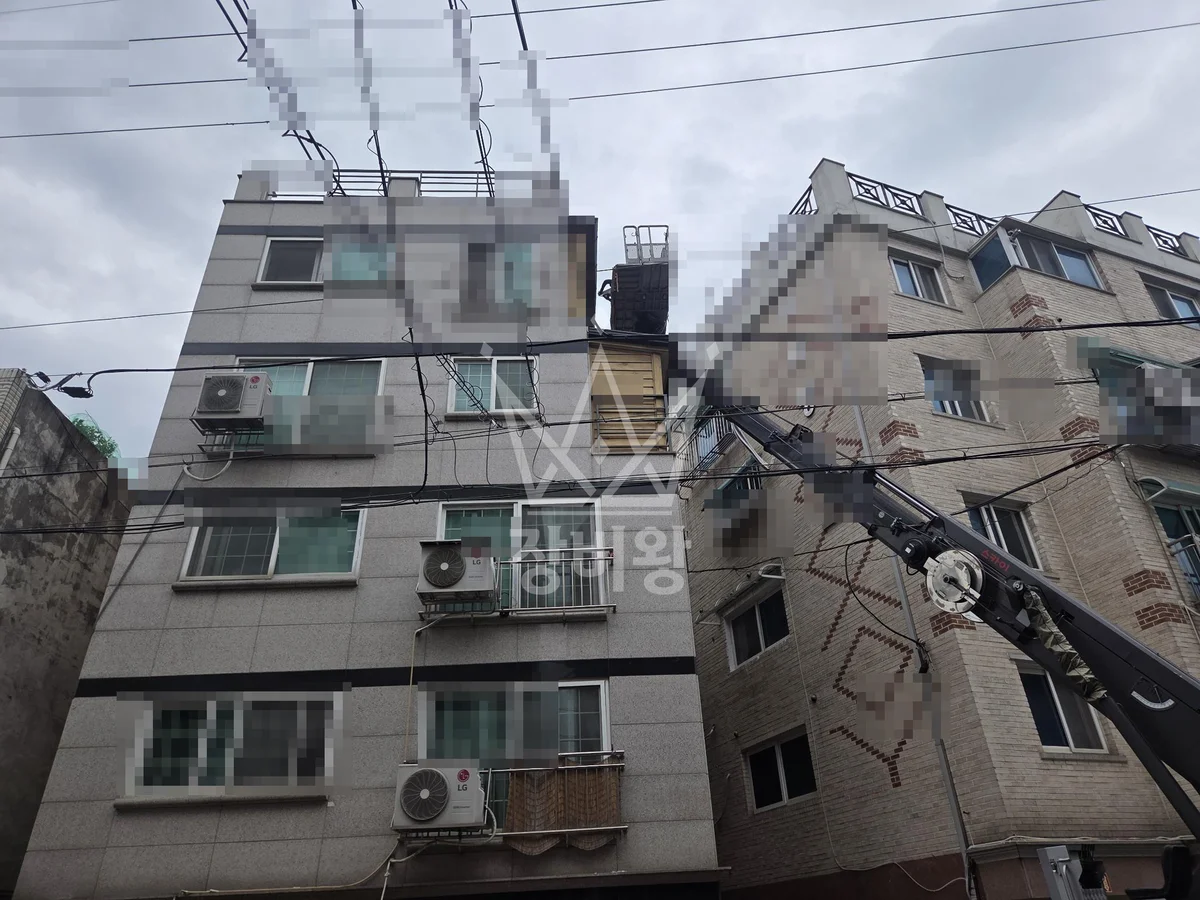 서울 강동구 둔촌동 스카이차 수목 관리 작업 현장