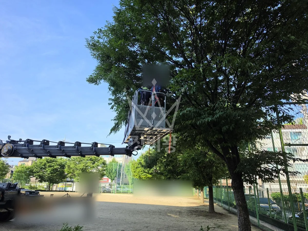 대전 서구 스카이차 철골 작업 현장