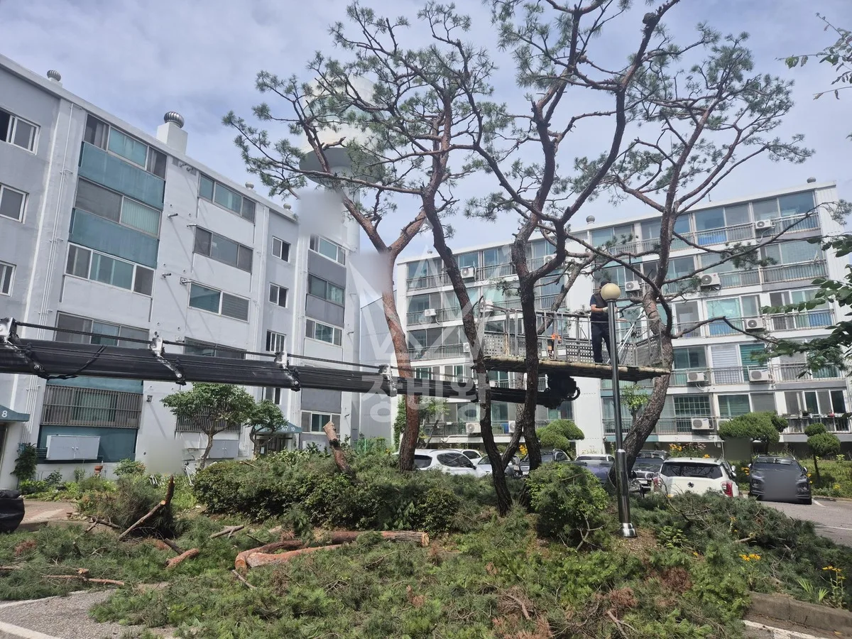 인천 연수구 스카이차 유리 작업 현장
