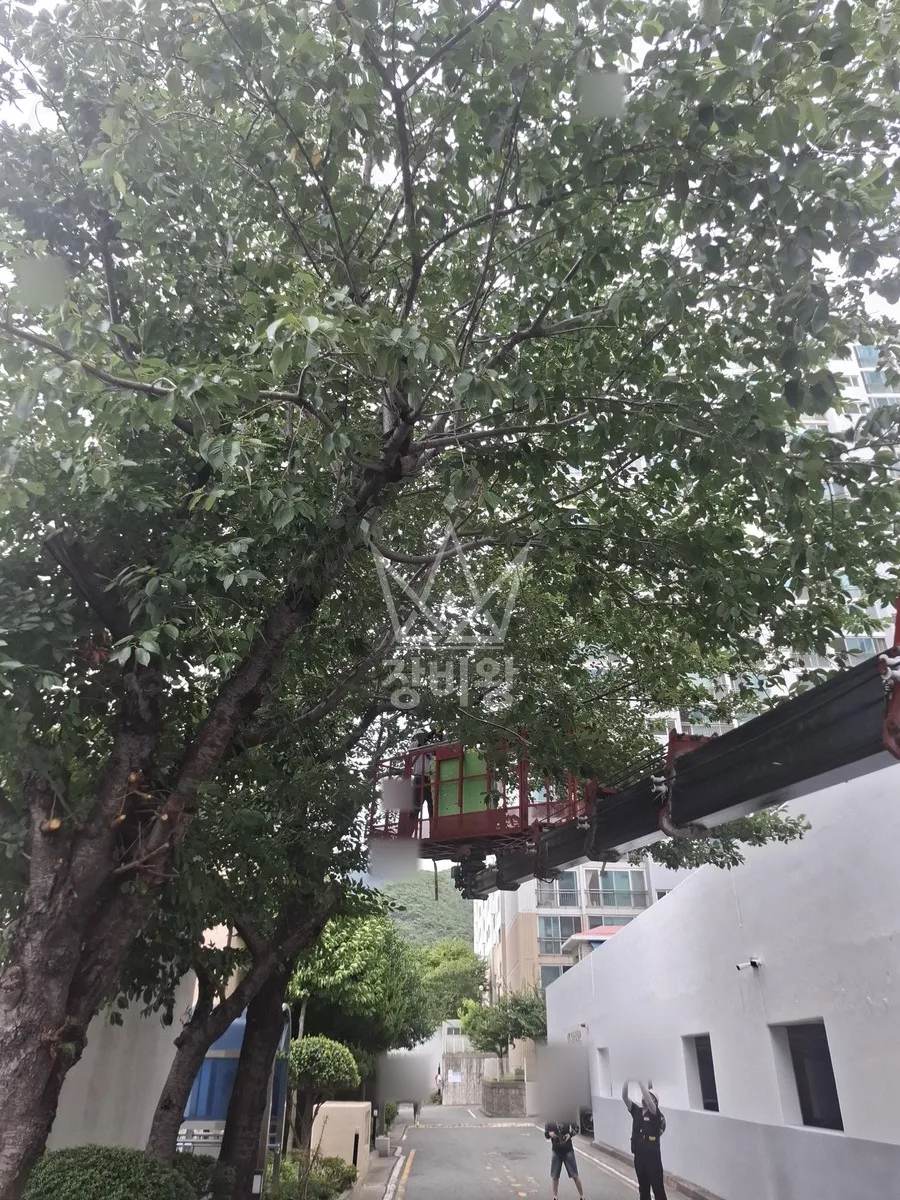 부산 금정구 스카이차 간판 작업 현장