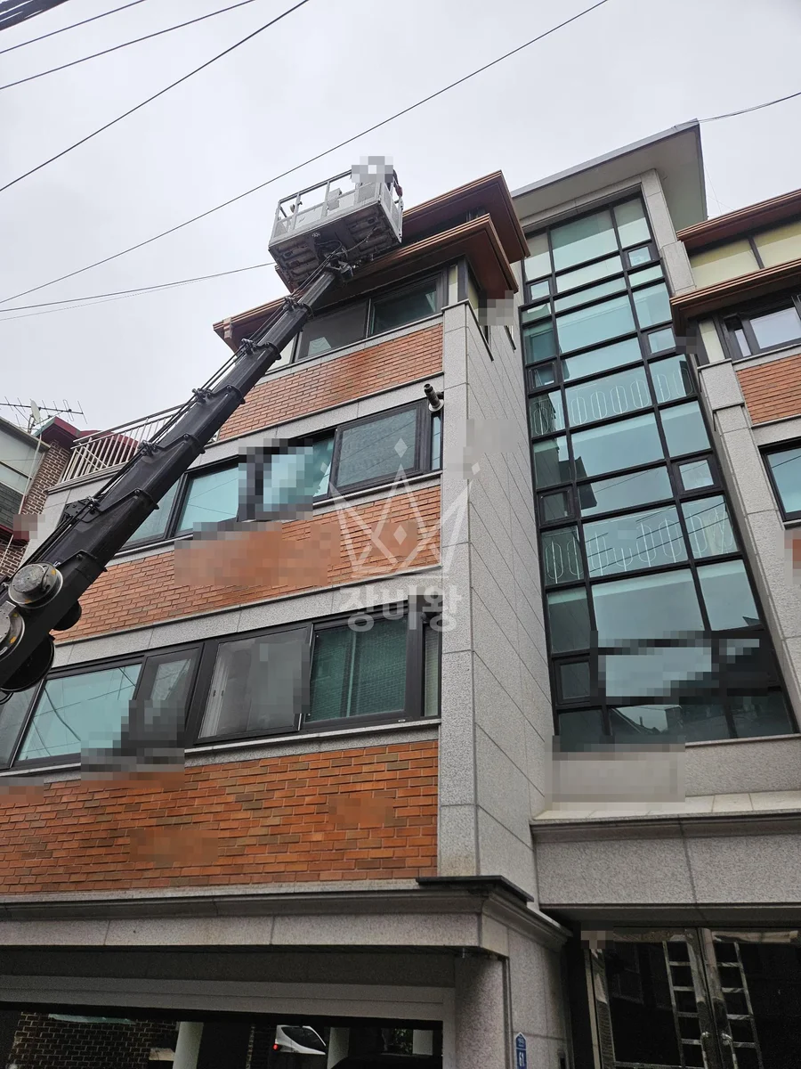 서울 동작구 노량진동 스카이차 수목 관리 작업 현장