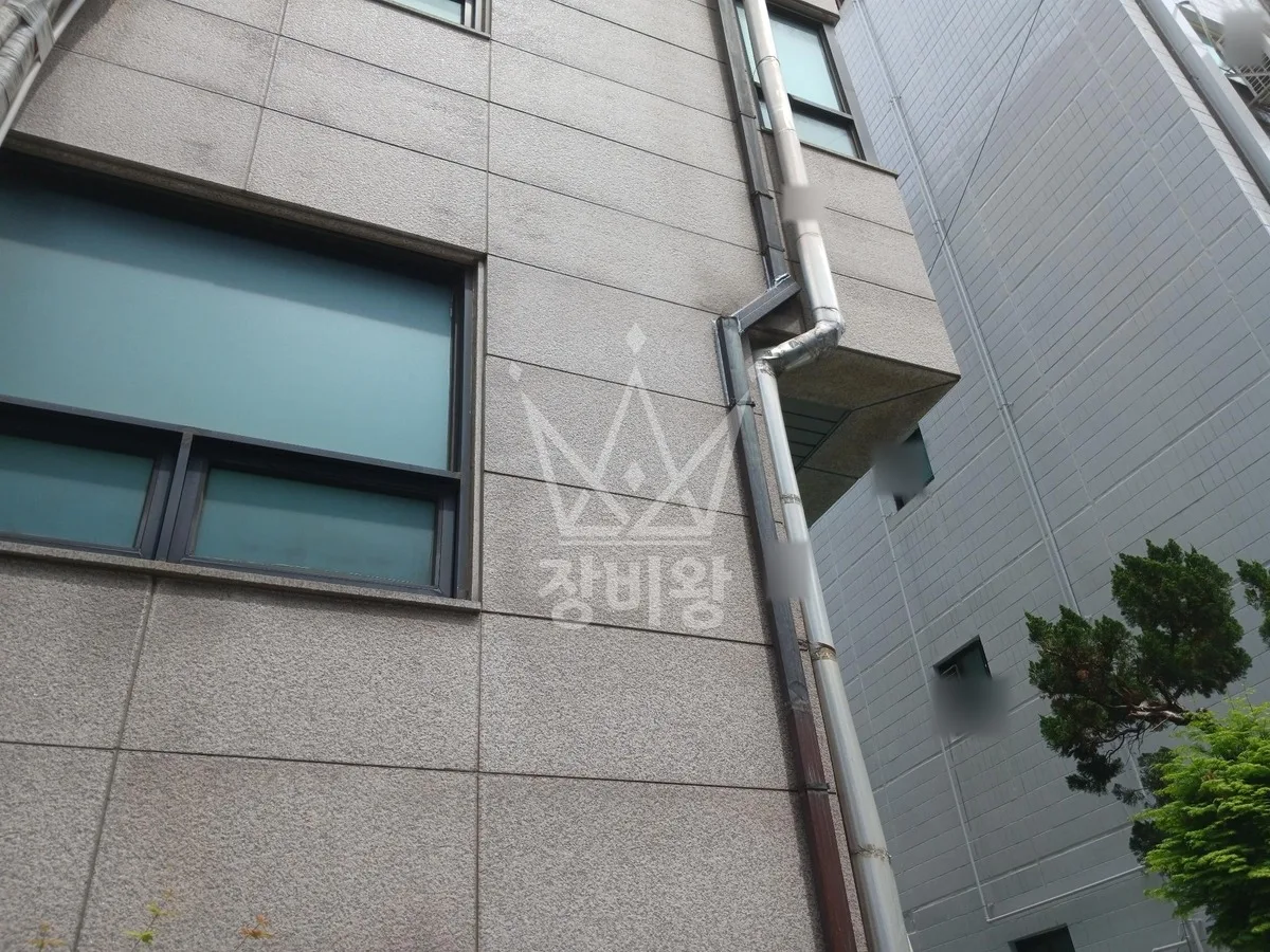 서울 서초구 양재동 스카이차 수목 관리 작업 현장