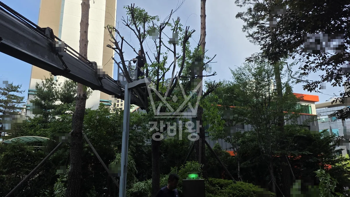 서울 마포구 도화동 스카이차 간판 작업 현장