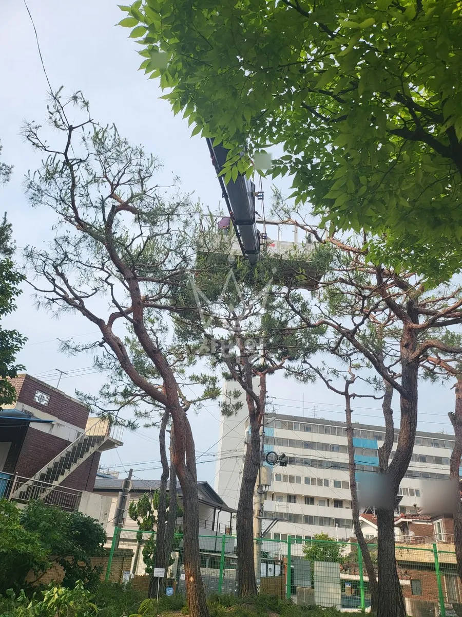 대전 대덕구 덕암동 스카이차 외벽 작업 작업 현장