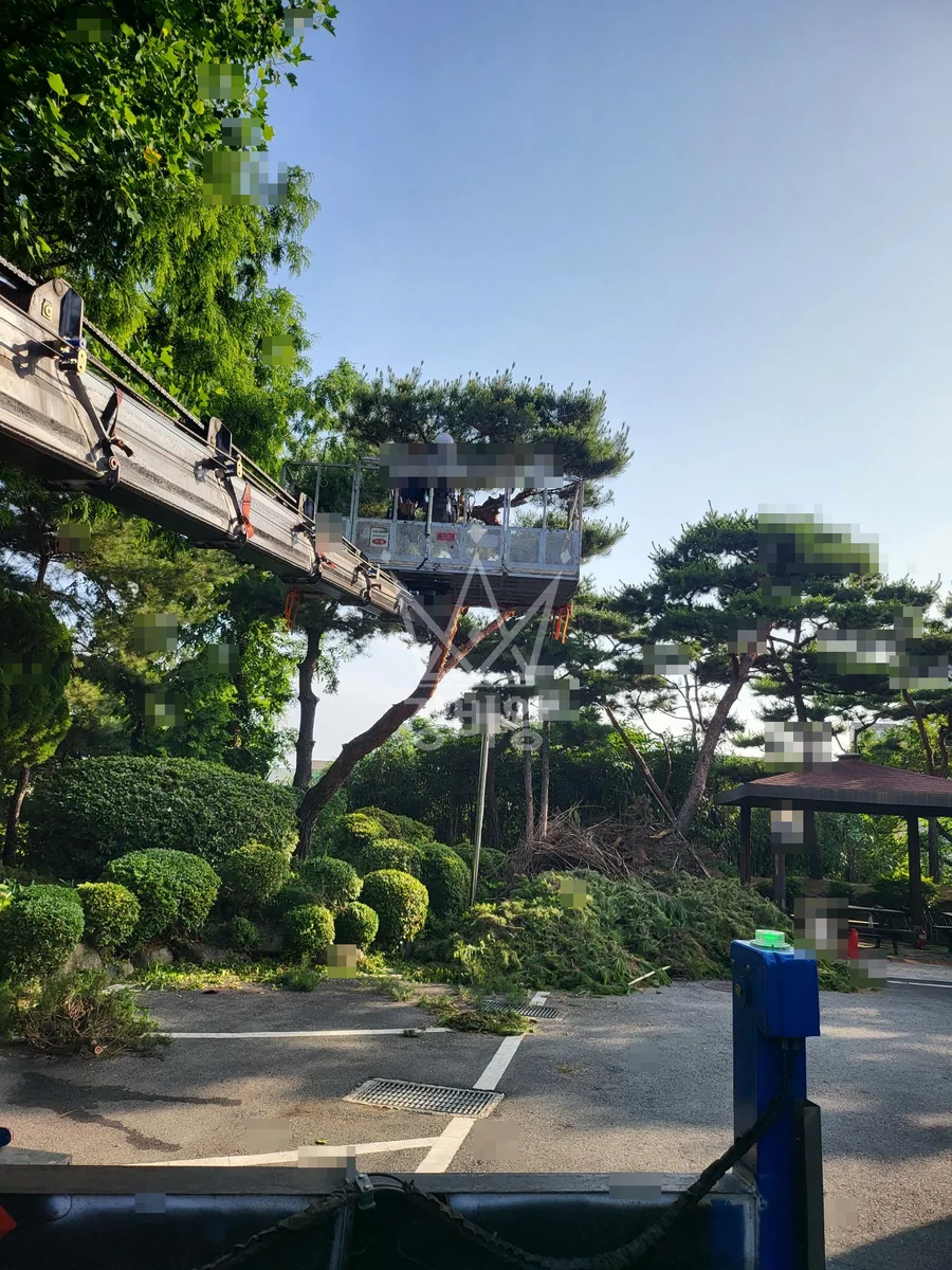 대전 스카이차 유리 작업 현장