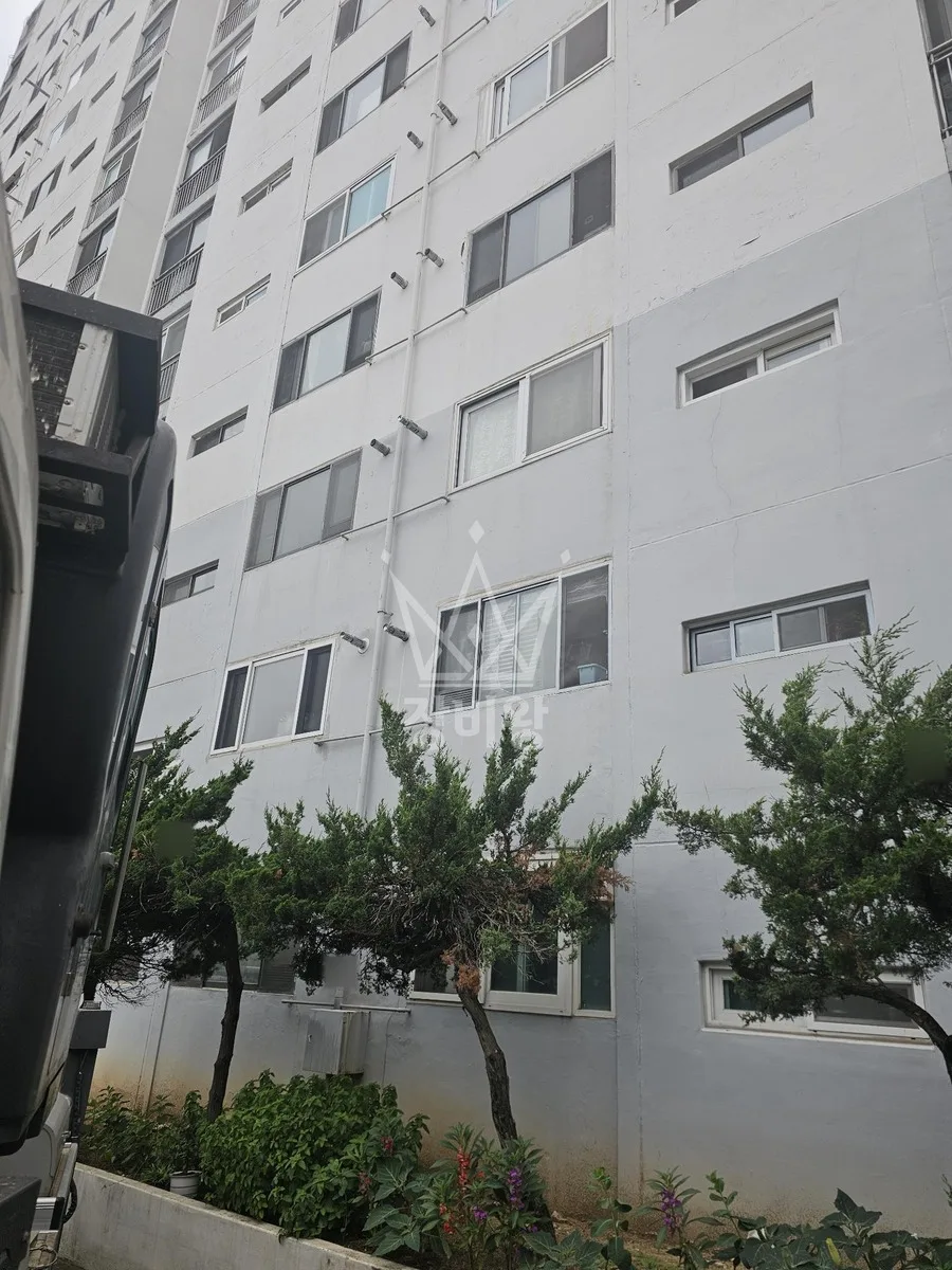 서울 동작구 스카이차 수목 관리 작업 현장
